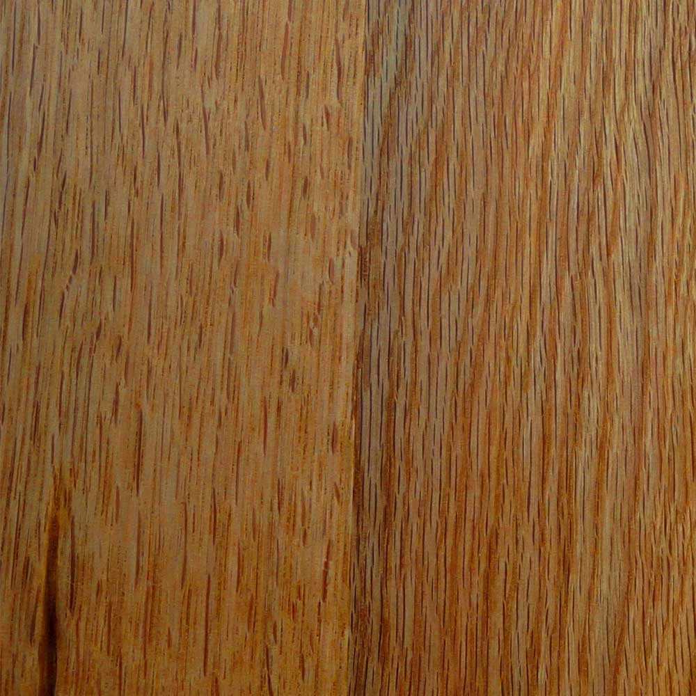 65x151x40 2-türiger Vitrinenschrank Aus Zerreiche Massivholz - Palium – Bild 6