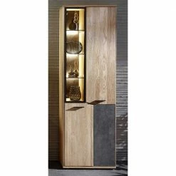 65x204x38 Vitrinenschrank In Modernem Design - Wokenva