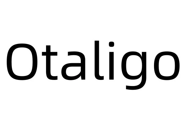 Otaligo-shop